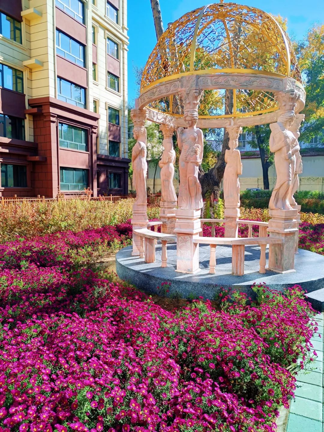 BG大游(中国)唯一官方网站