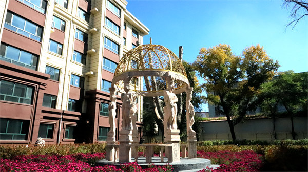 BG大游(中国)唯一官方网站