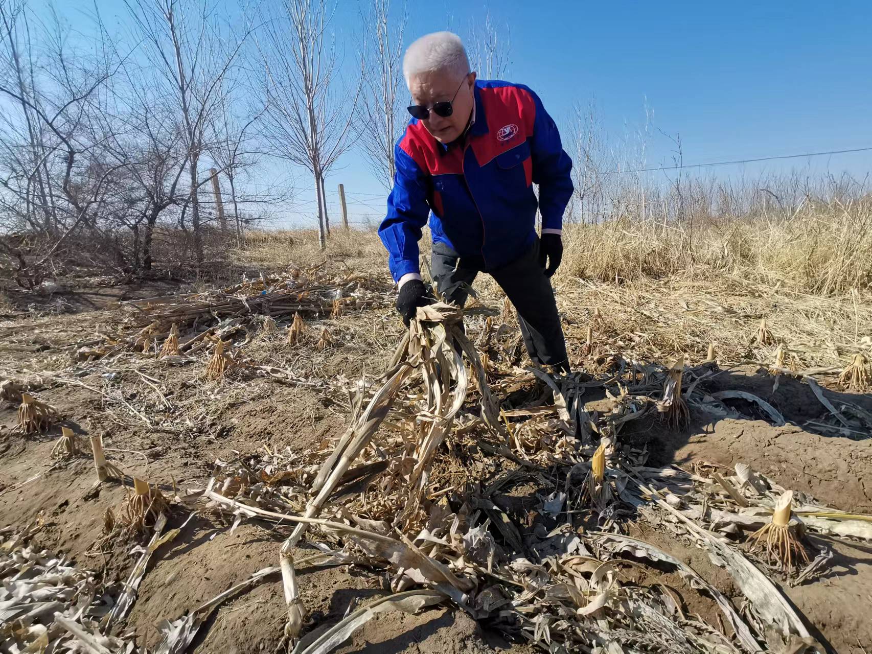BG大游(中国)唯一官方网站