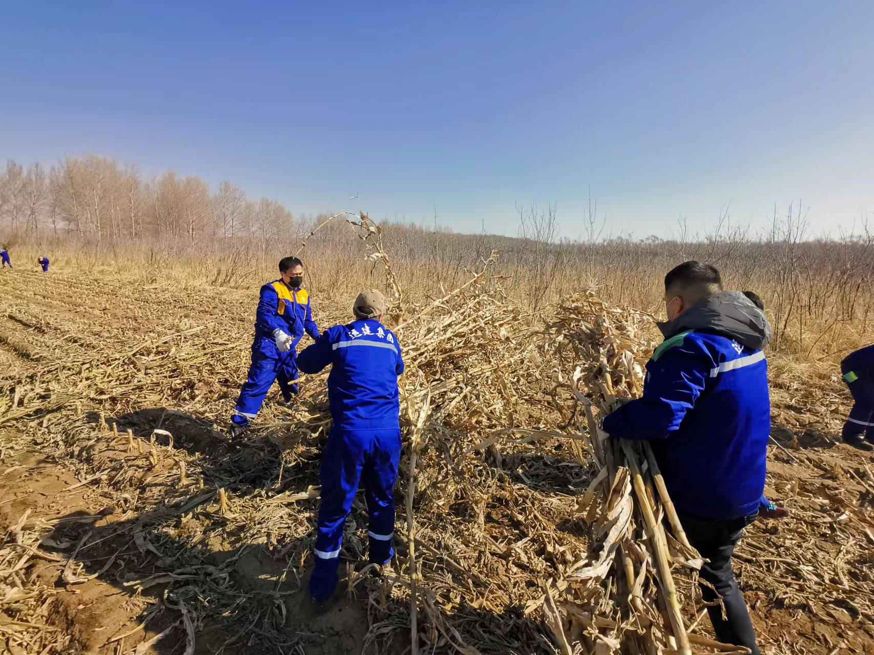 BG大游(中国)唯一官方网站