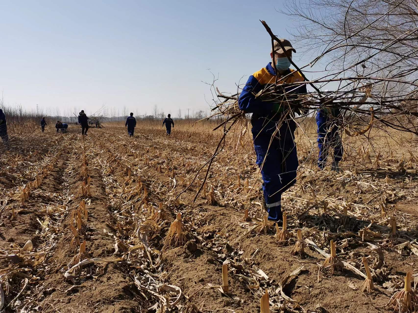 BG大游(中国)唯一官方网站