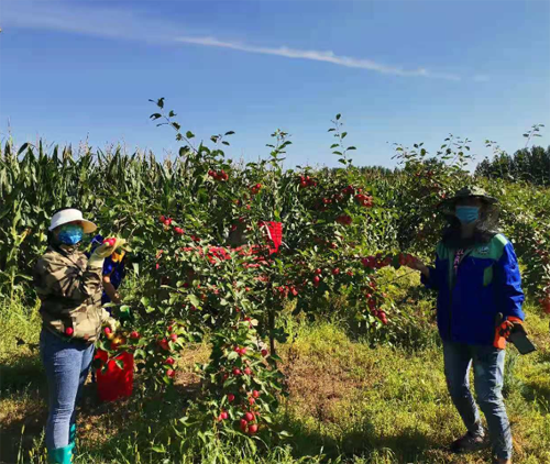 BG大游(中国)唯一官方网站