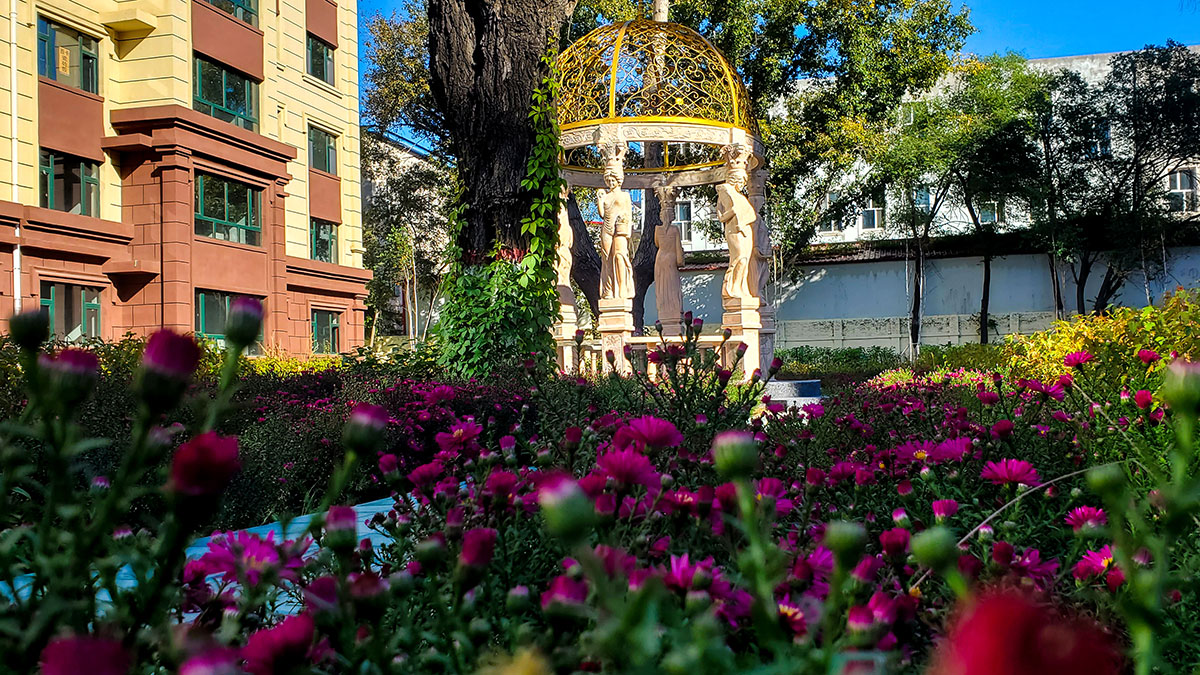 BG大游(中国)唯一官方网站