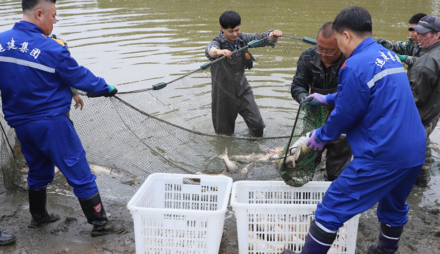 BG大游(中国)唯一官方网站