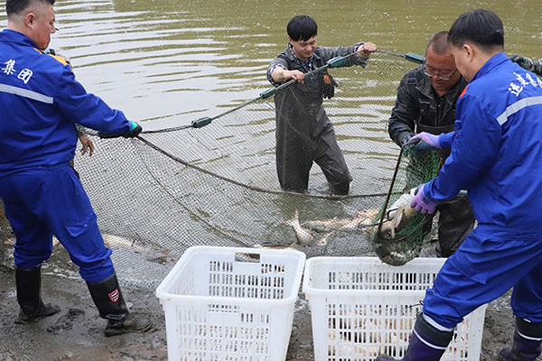BG大游(中国)唯一官方网站
