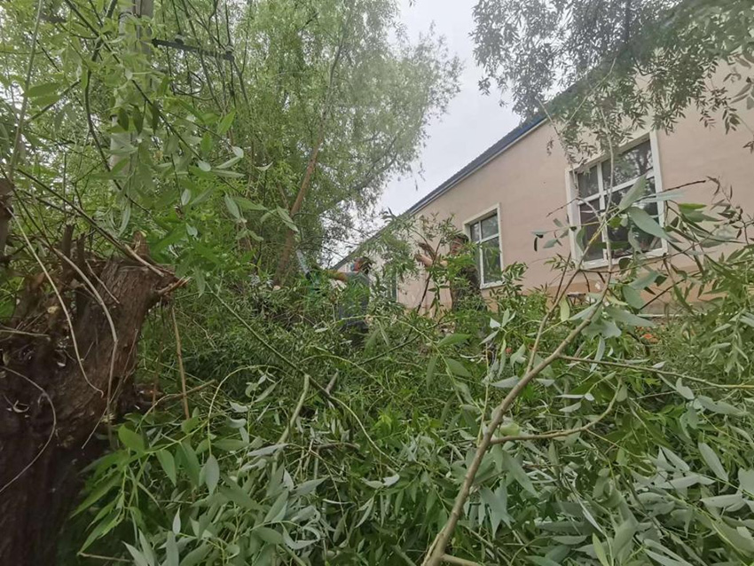 BG大游(中国)唯一官方网站