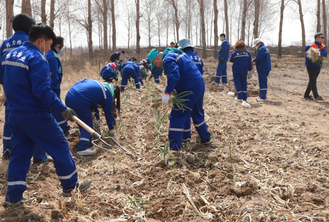 BG大游(中国)唯一官方网站