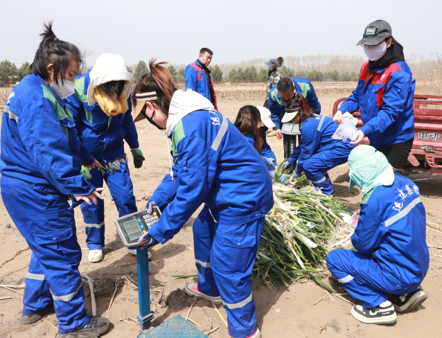 BG大游(中国)唯一官方网站