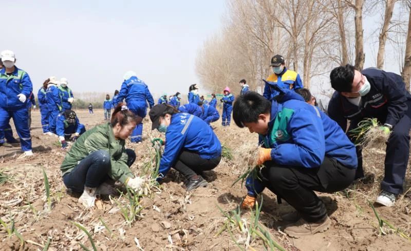 BG大游(中国)唯一官方网站