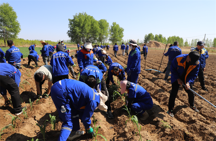 BG大游(中国)唯一官方网站