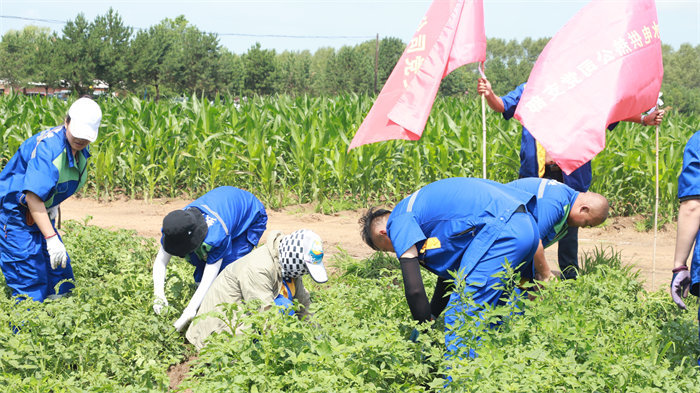 BG大游(中国)唯一官方网站