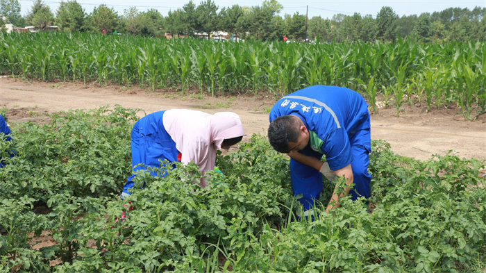 BG大游(中国)唯一官方网站