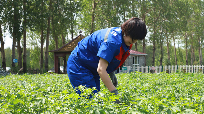 BG大游(中国)唯一官方网站
